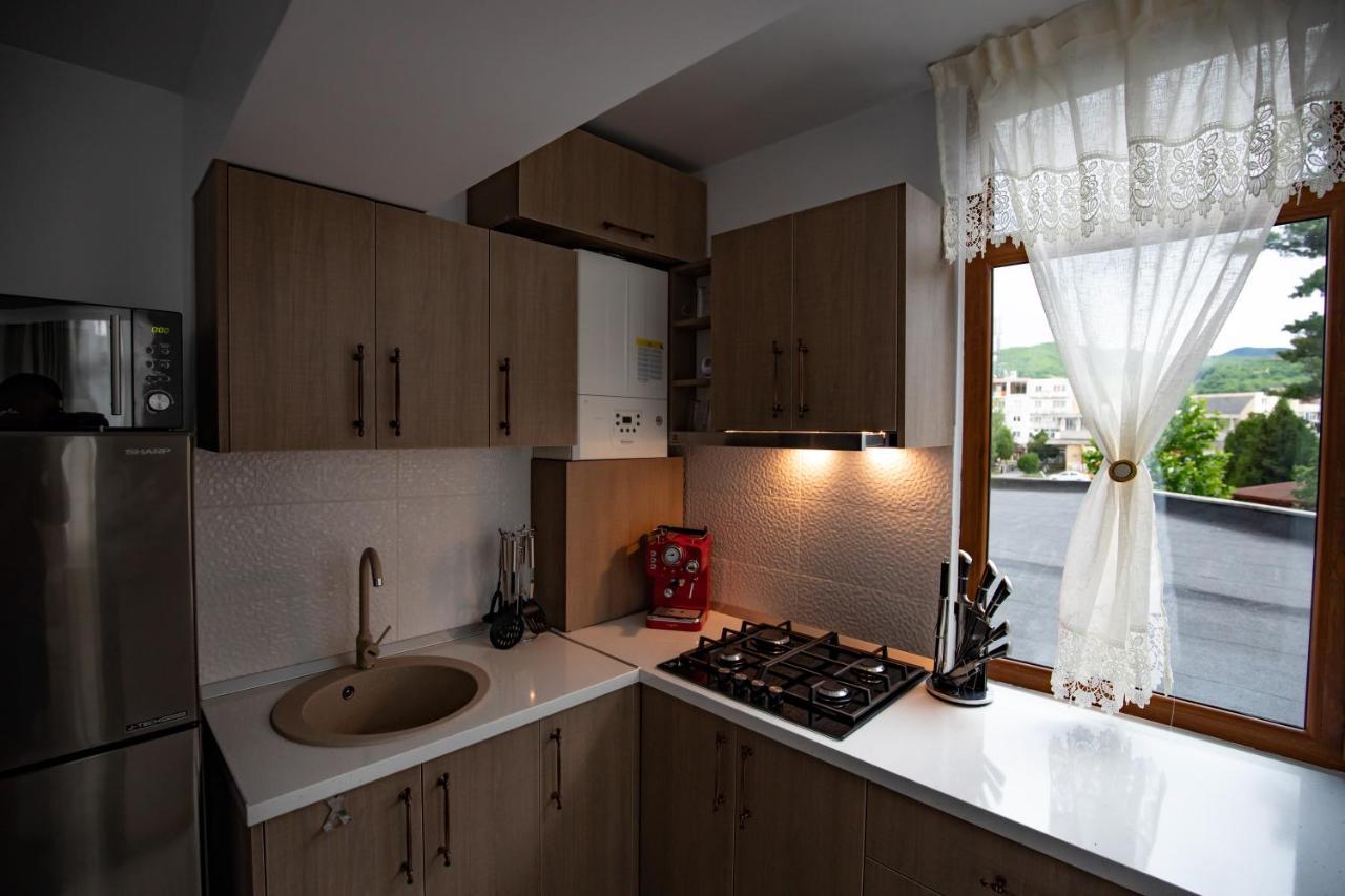 Apartament Natalia Tîrgu Ocna Extérieur photo